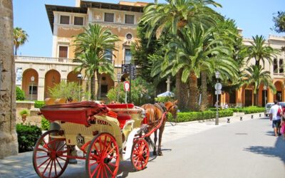 Museo Palau March Palma