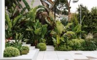 Terrasse und Zugang zu Dschungeldusche